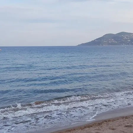 Sea Front Appartement